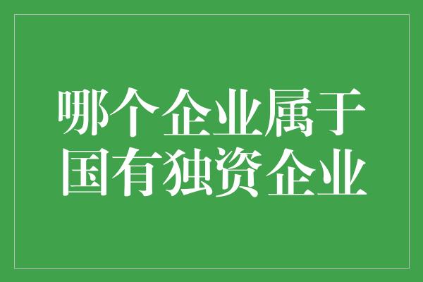 哪个企业属于国有独资企业