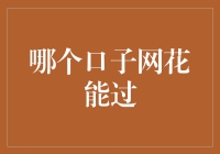 哪个口子网花能过？揭秘那些不为人知的小众理财平台