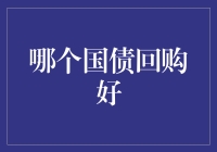 哪个国债回购好？金融新手必备指南