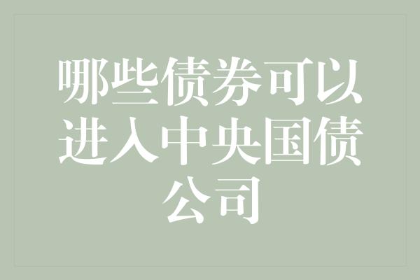 哪些债券可以进入中央国债公司