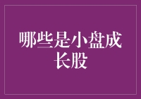 小盘股成长指南：如何在股市里找到下一个小而美的潜力股