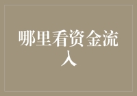 在大数据浪潮中掌握资金流动趋势：去哪里看资金流入？