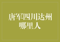 唐军四川达州哪里人：探寻背后的故事与秘密