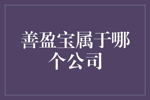 善盈宝属于哪个公司