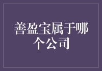 善盈宝：一个公司的秘密武器？