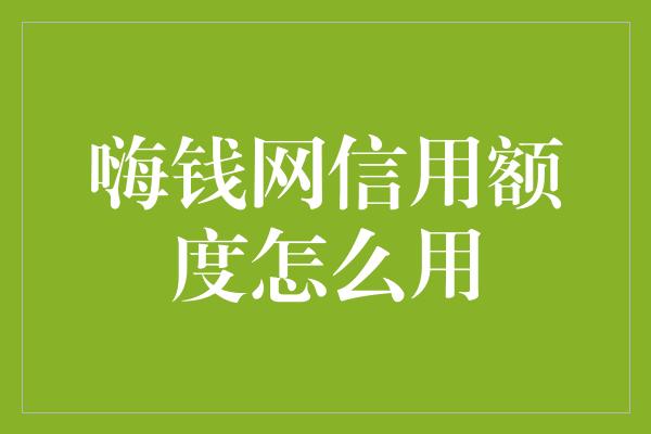 嗨钱网信用额度怎么用