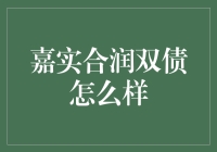 嘉实合润双债：稳健投资策略的亮点解析