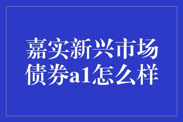 嘉实新兴市场债券a1怎么样