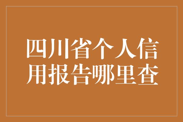 四川省个人信用报告哪里查