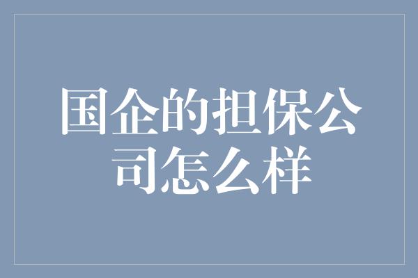 国企的担保公司怎么样