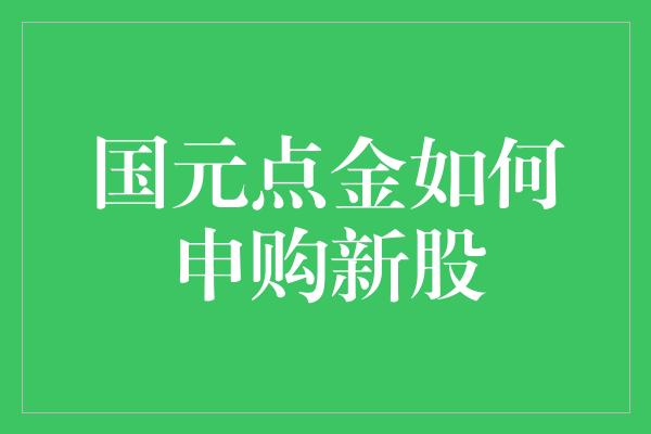 国元点金如何申购新股