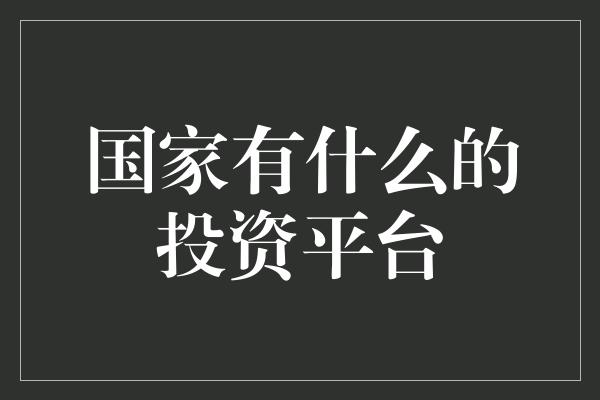 国家有什么的投资平台