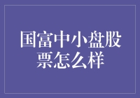 小盘股的逆袭：国富中小盘股票，你值得拥有？