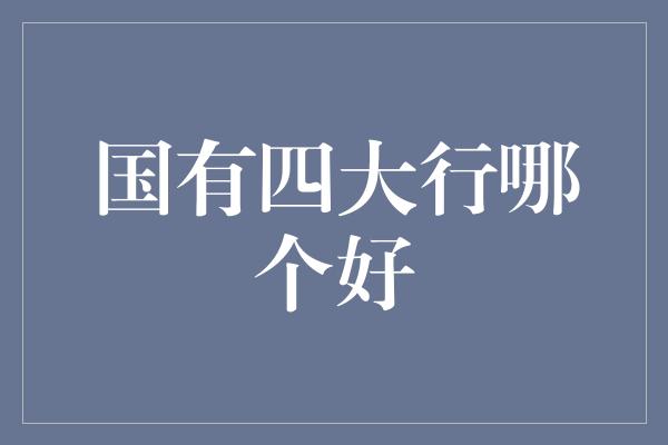 国有四大行哪个好