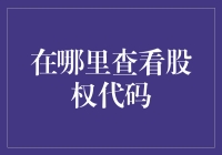 在哪里查看股权代码？——股东如何变身股市侦探