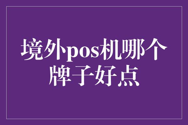 境外pos机哪个牌子好点