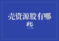 壳资源股：市场的隐秘宝藏，投资者的触角延伸