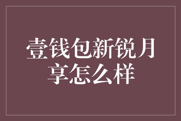 壹钱包新锐月享怎么样