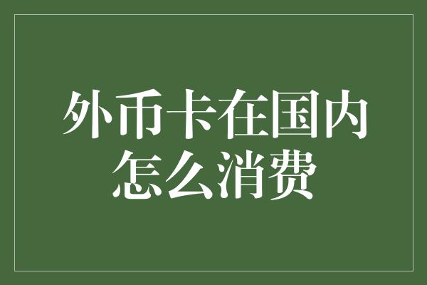 外币卡在国内怎么消费