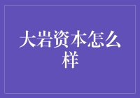 大岩资本：领先的投资管理专家