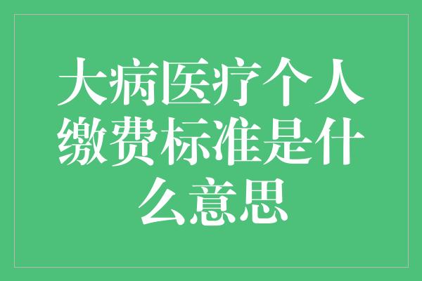 大病医疗个人缴费标准是什么意思