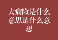 大病险：预防重大疾病风险的保险工具