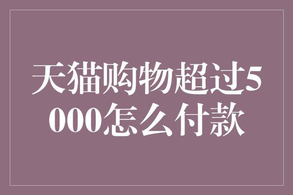 天猫购物超过5000怎么付款