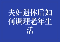 共筑金色年华：夫妇退休后的老年生活调理与规划