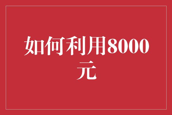 如何利用8000元