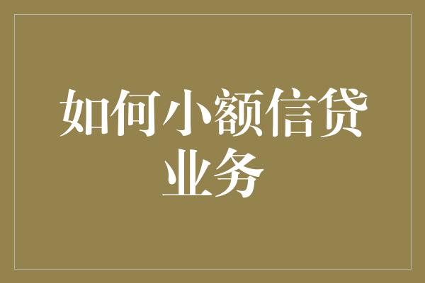 如何小额信贷业务