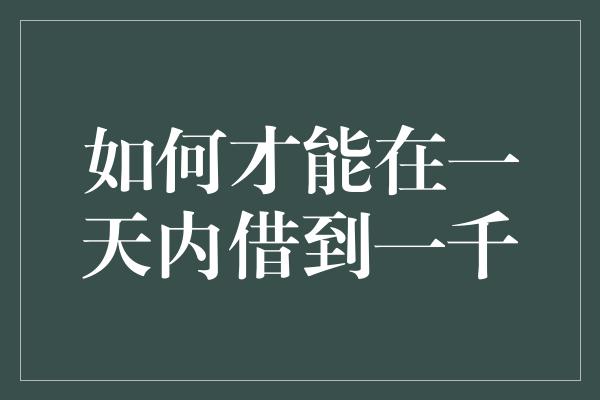 如何才能在一天内借到一千