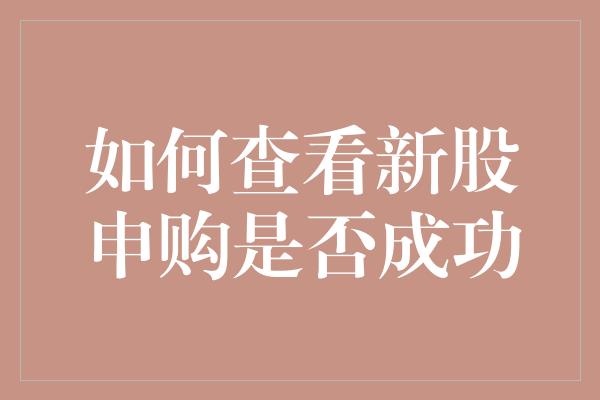 如何查看新股申购是否成功