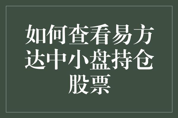 如何查看易方达中小盘持仓股票