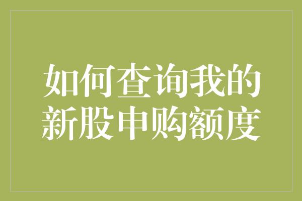 如何查询我的新股申购额度