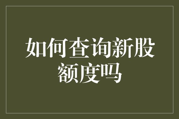 如何查询新股额度吗