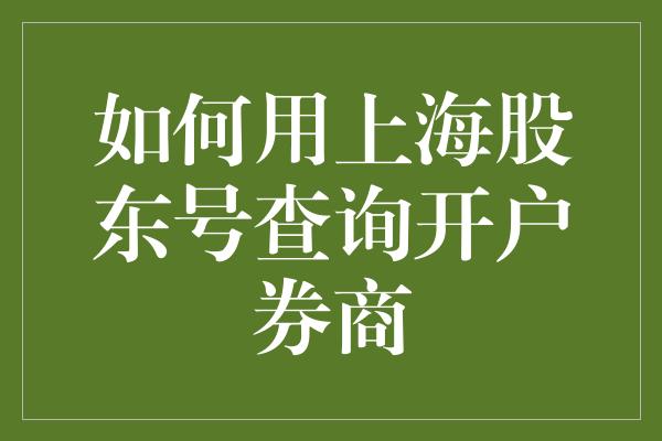 如何用上海股东号查询开户券商