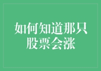 如何在股市中找到那只会涨的股票：一份新手指南