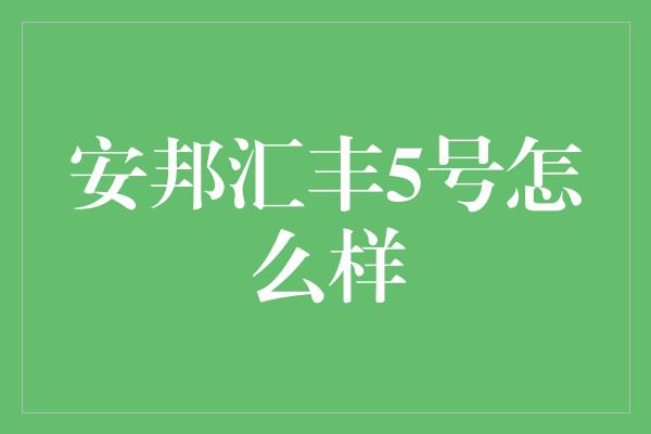 安邦汇丰5号怎么样