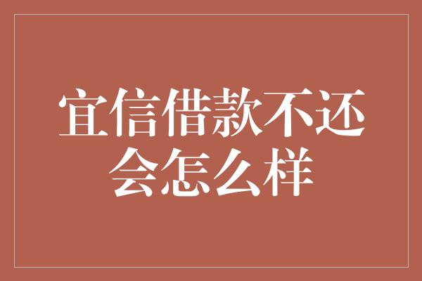 宜信借款不还会怎么样