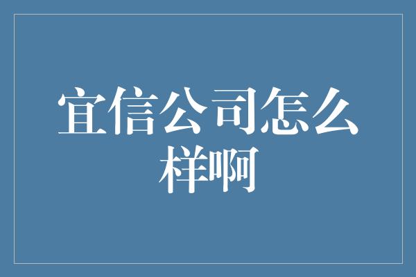 宜信公司怎么样啊