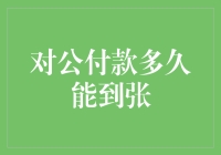 公对公付款：到账时间解析与策略优化