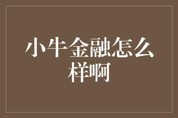 小牛金融怎么样啊