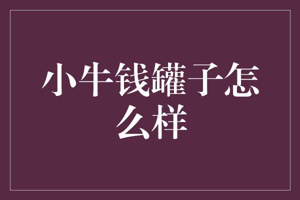 小牛钱罐子怎么样