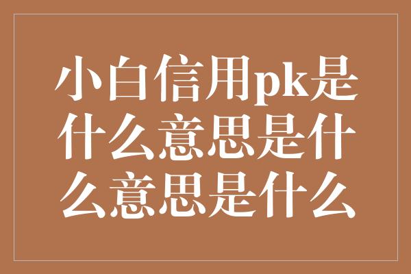 小白信用pk是什么意思是什么意思是什么