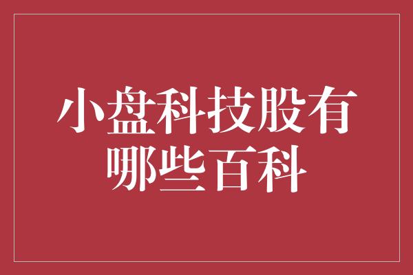 小盘科技股有哪些百科