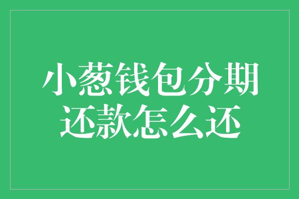 小葱钱包分期还款怎么还