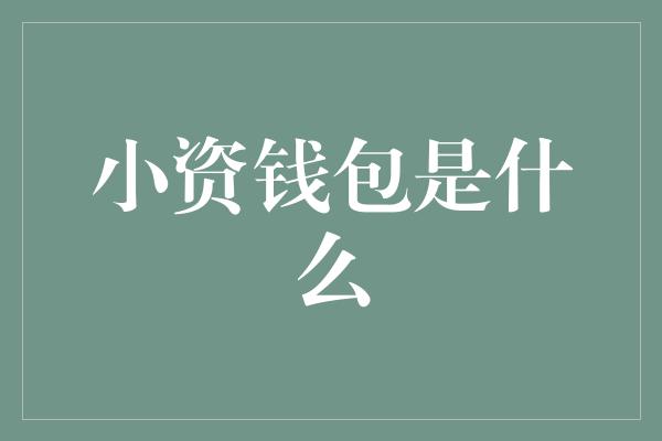 小资钱包是什么