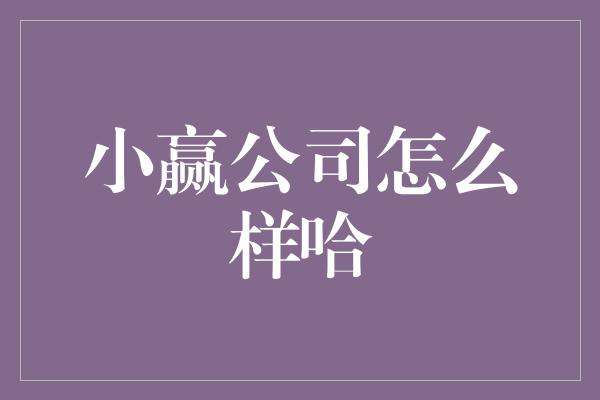 小赢公司怎么样哈