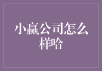 小赢公司怎么样哈？那些不为人知的秘密大揭秘！