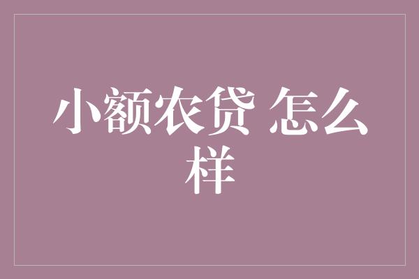 小额农贷 怎么样